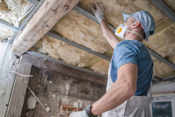 Best Affordable Insulation Services  in Shippensburg University, PA