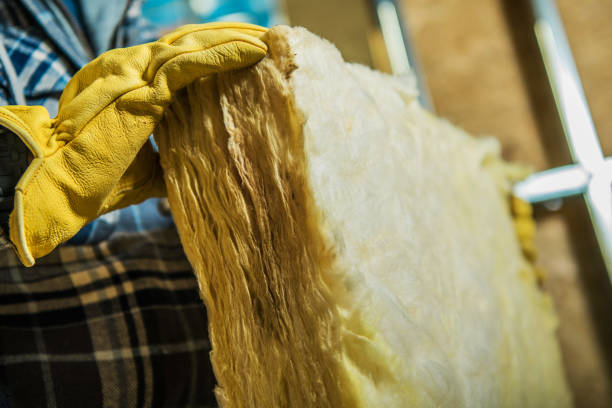 Best Insulation Contractors for Homes  in Shippensburg University, PA