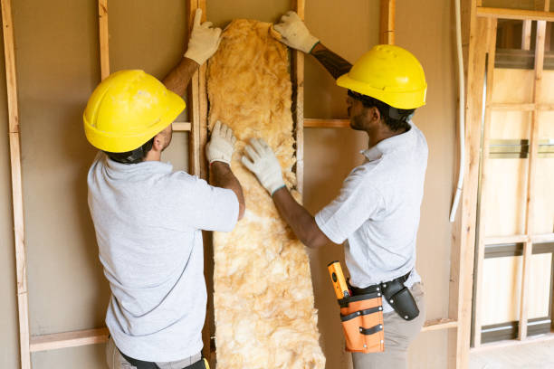 Best Attic Insulation Installation  in Shippensburg University, PA