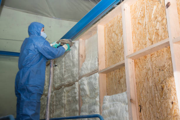 Best Insulation Inspection Services  in Shippensburg University, PA