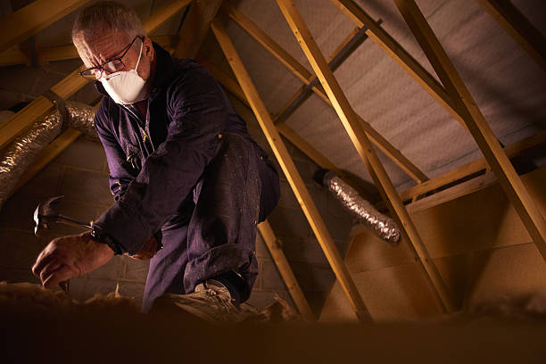 Best Insulation Removal  in Shippensburg University, PA